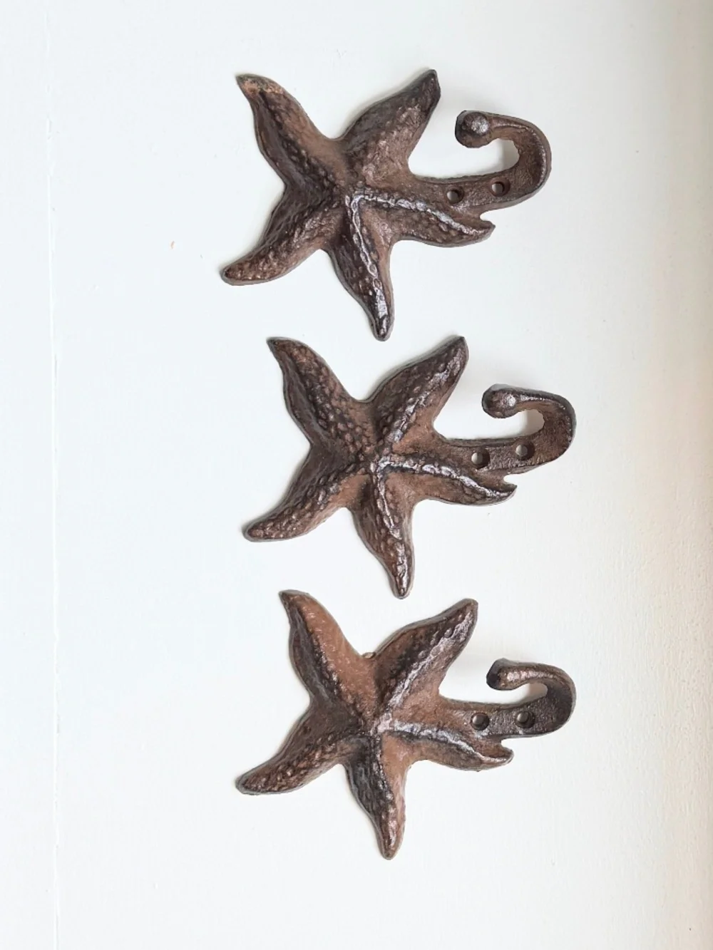 3 Cast Iron Wall Hooks - Breakwater Bay